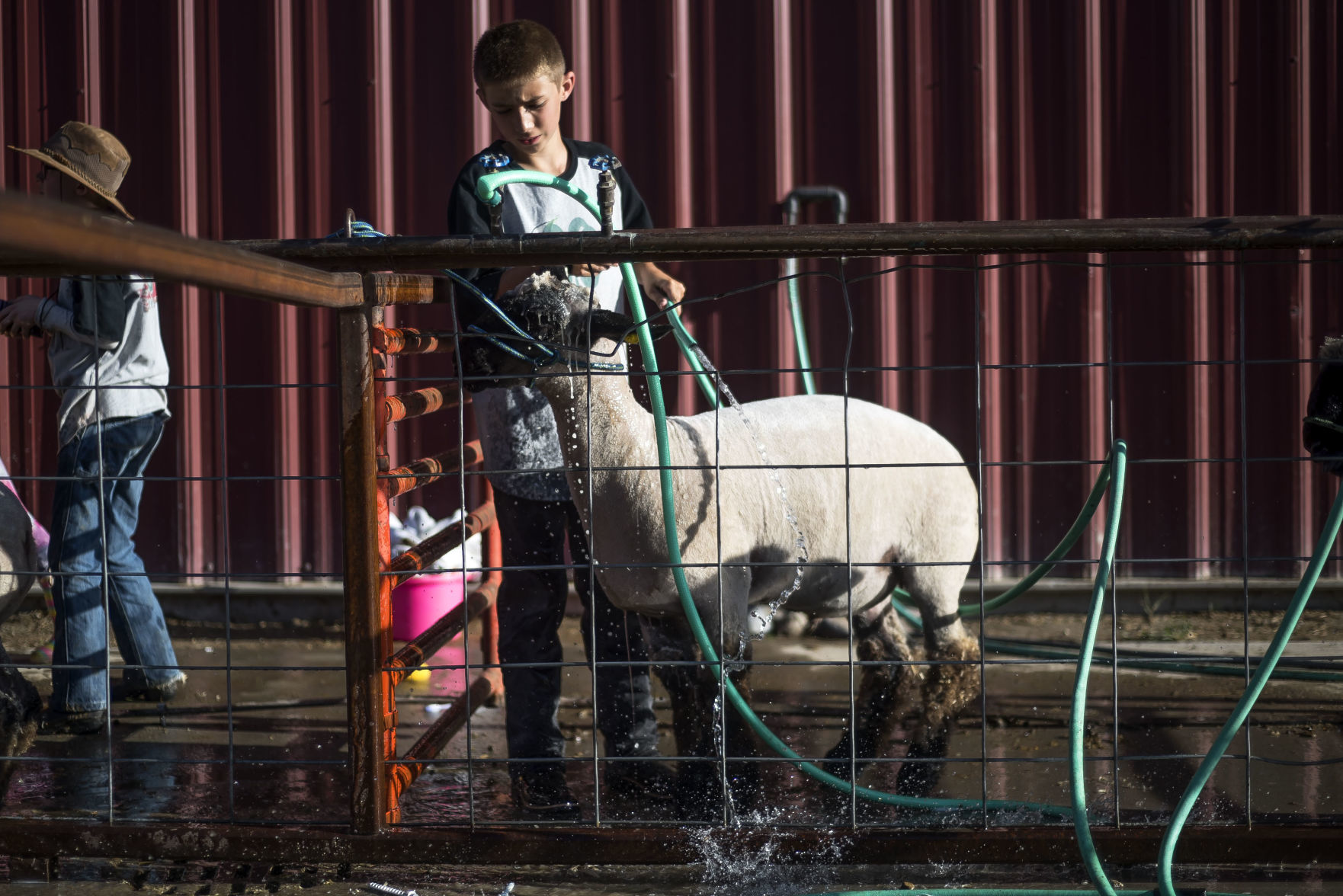 Teton County Fair